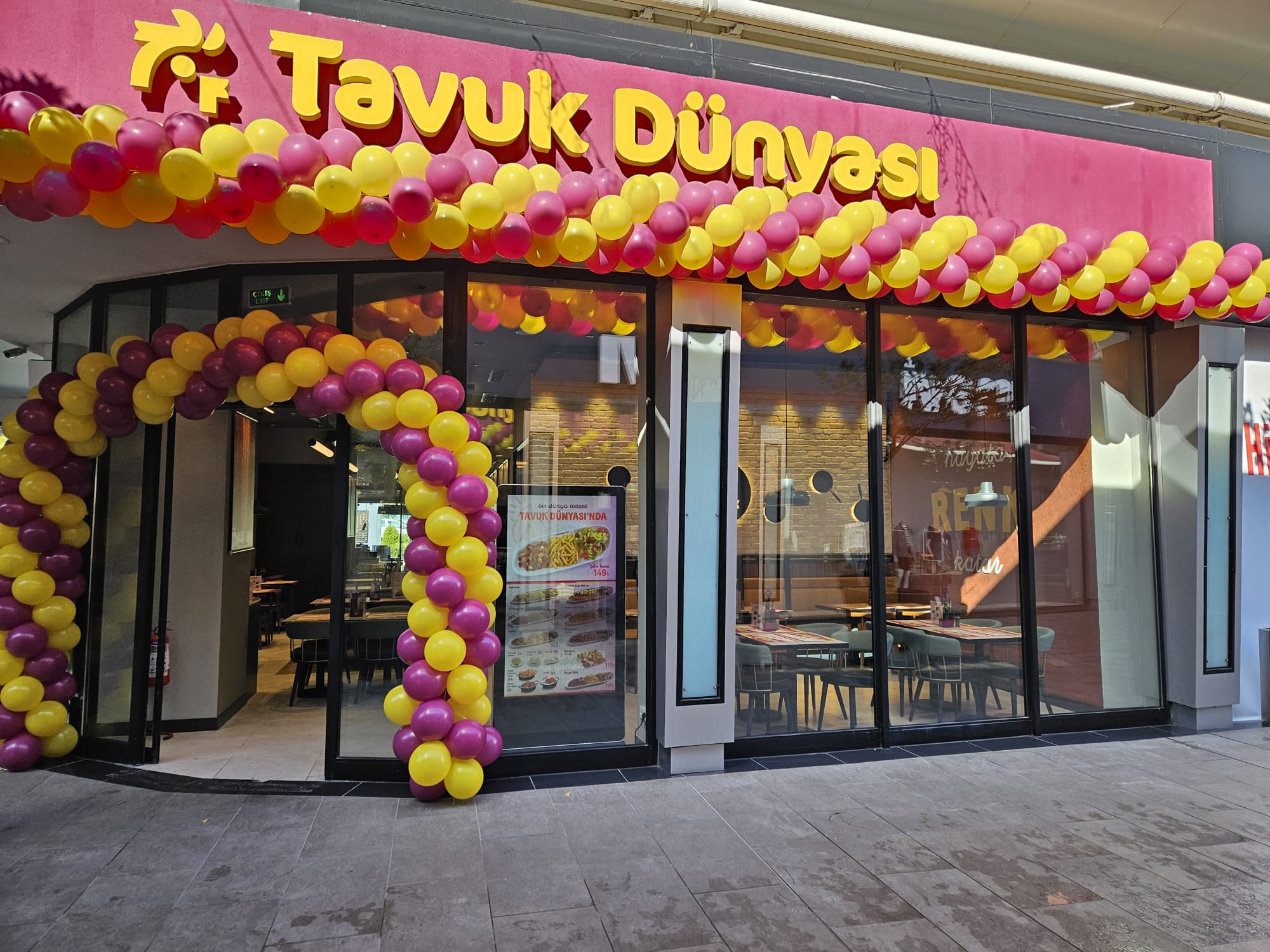 TAVUK DÜNYASI